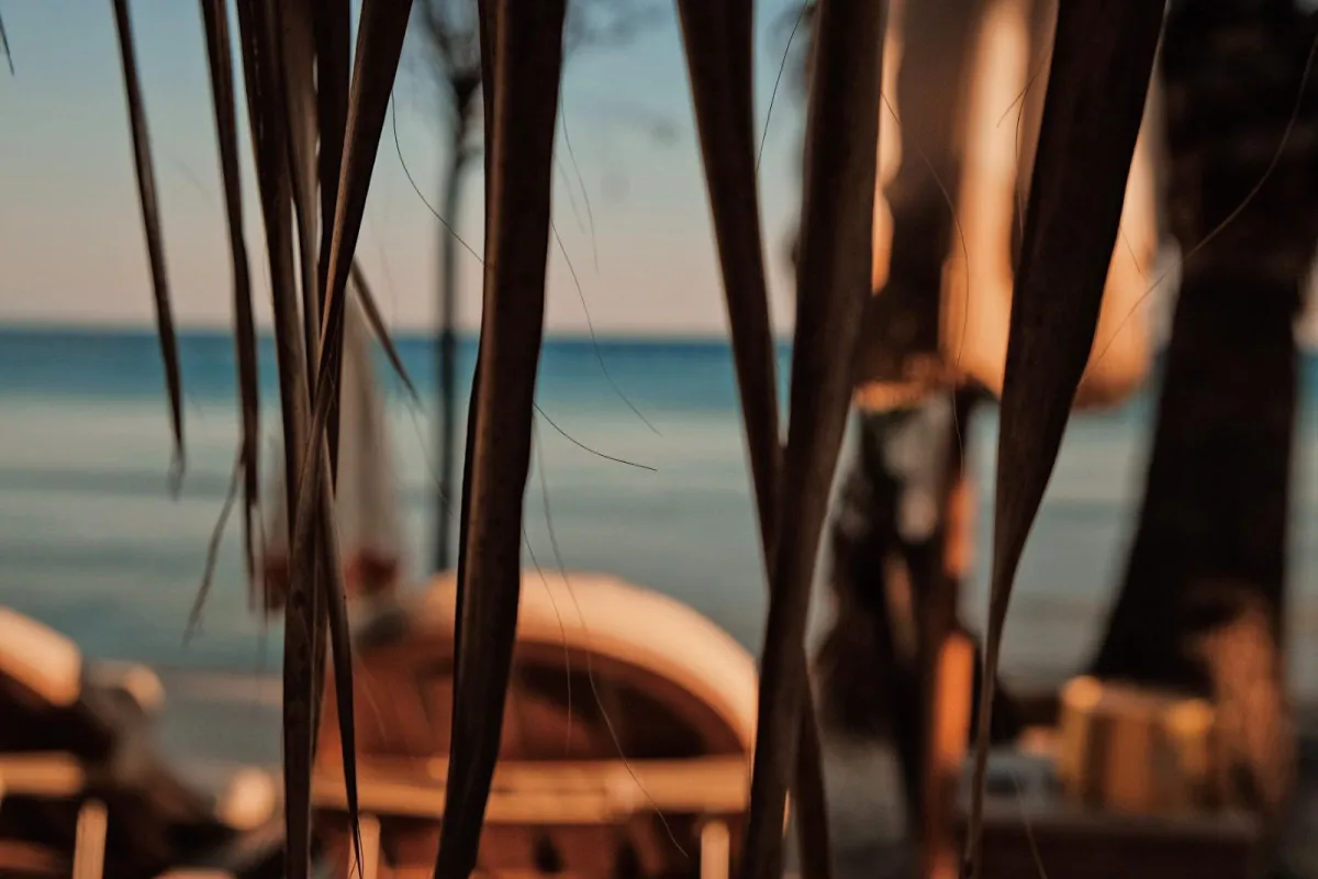 Playa Tropical